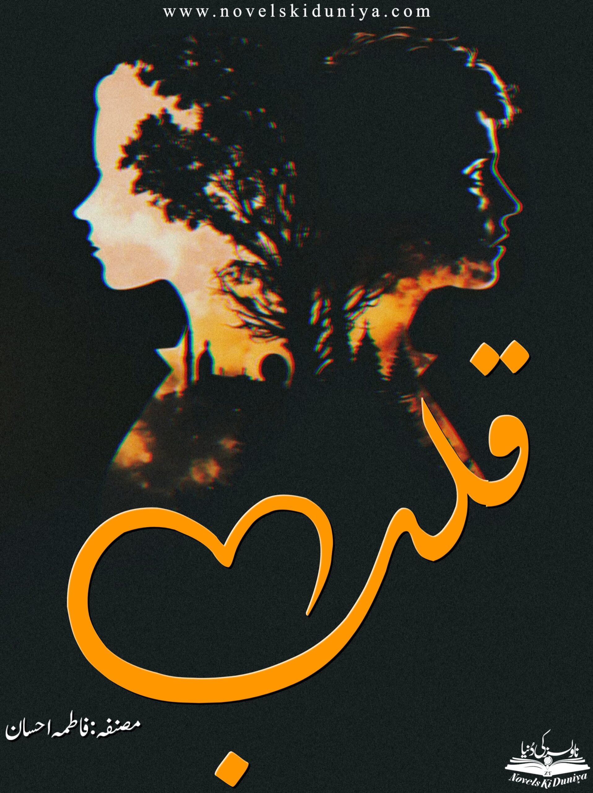 Qalb A Journey from Pain to Peace – A Story That Heals By Fatima Ahsan