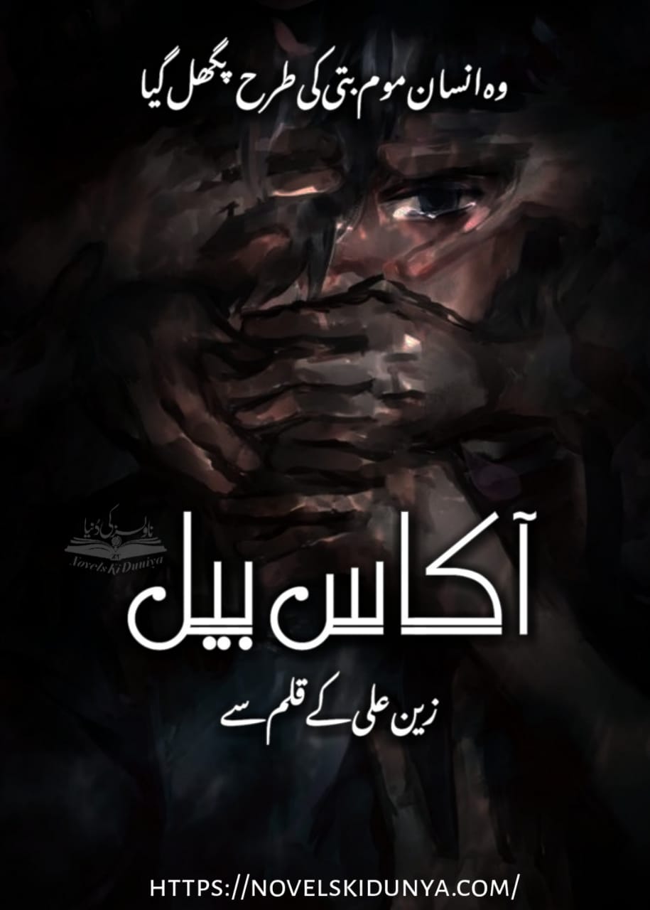 Aakas Bail by Zain Ali – A haunting Urdu novel blending horror, dark fantasy, and supernatural mystery.