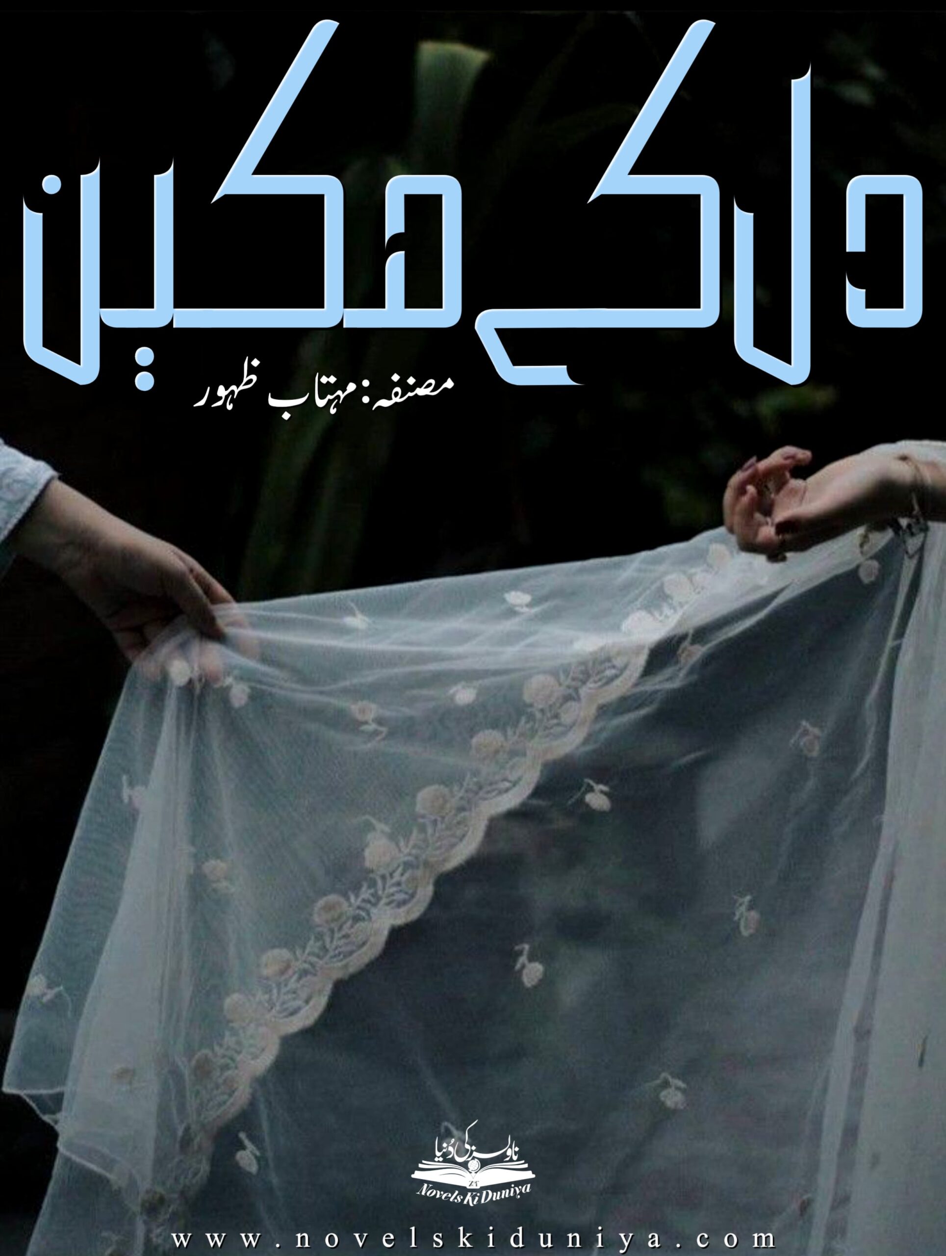 Dil Ke Makeen by Mehtab Zahoor – A light romantic Urdu novel featuring cousins, family humor, and a charming love story that warms the heart.
