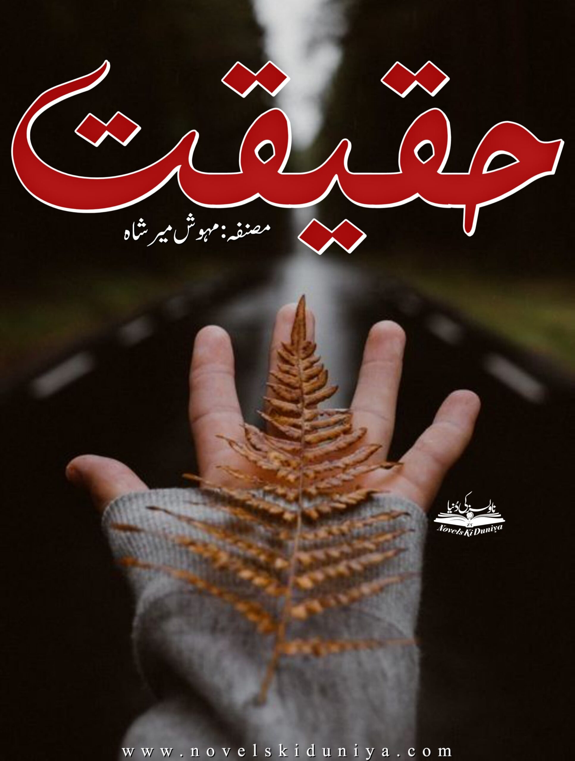 Haqiqat by Mehwish Meer Shah – Urdu Novel PDF Download featuring Domestic Drama, Emotional Justice, & Saas-Bahu Conflict